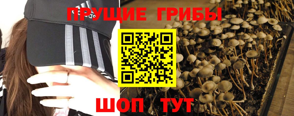 Галлюциногенные грибы Magic Shrooms  Псилоцибиновые грибы мицелий  Вход с VPN  Кирово-Чепецк 